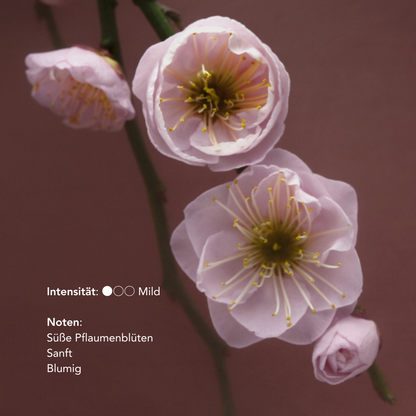Duo - Porte-Encens & Bâtonnets d'Encens Naturels «I Can Buy Myself Flowers»