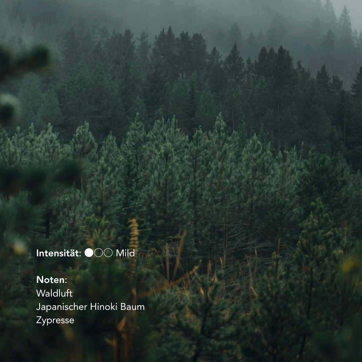 Japanische Räucherstäbchen Press Pause No.2