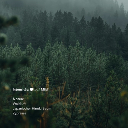 Japanische Räucherstäbchen Press Pause No.2