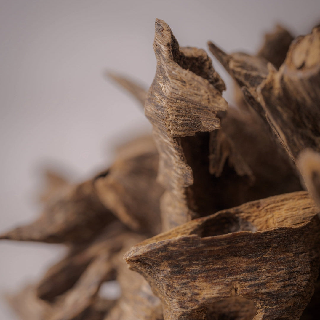 agarwood closeup 