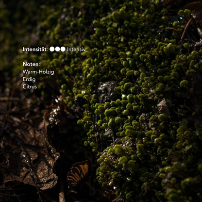 Palo Santo Wood Sticks SERFOR Certified Sustainably Harvested - High Resin Holy Wood